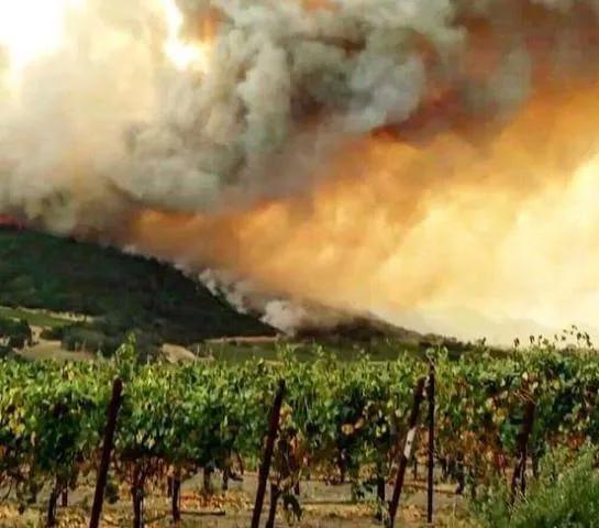 windowsxp最经典的壁纸,windowsxp经典壁纸