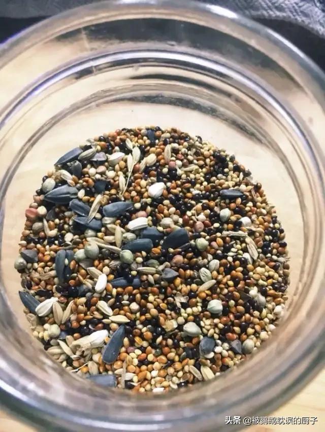 鹦鹉病了怎么喂东西吃呢,鹦鹉需要喂食什么才能健康