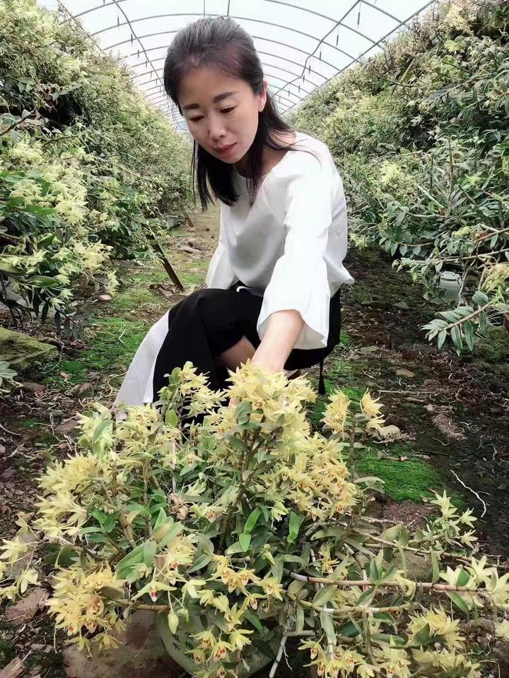 4年收获4本房产证，年收入400多万！单臂的她是怎么做到的？