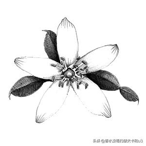 如果你喜欢银色山泉，那么今天的内容你必看