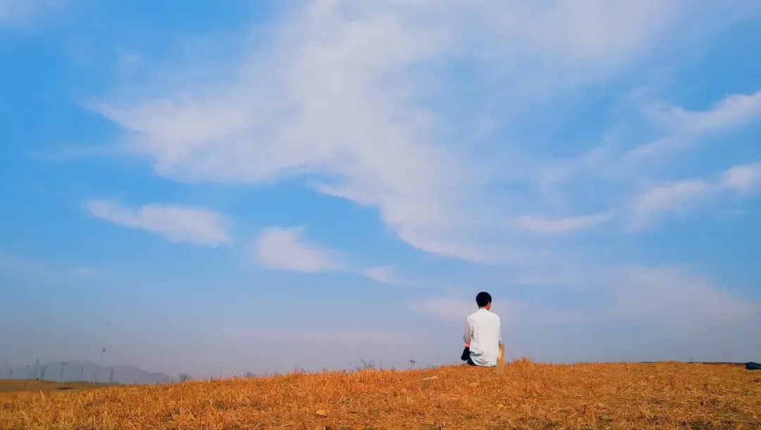 庸者谋利能者谋局智者谋势的意思,庸者谋利能者谋局智者谋势读后感
