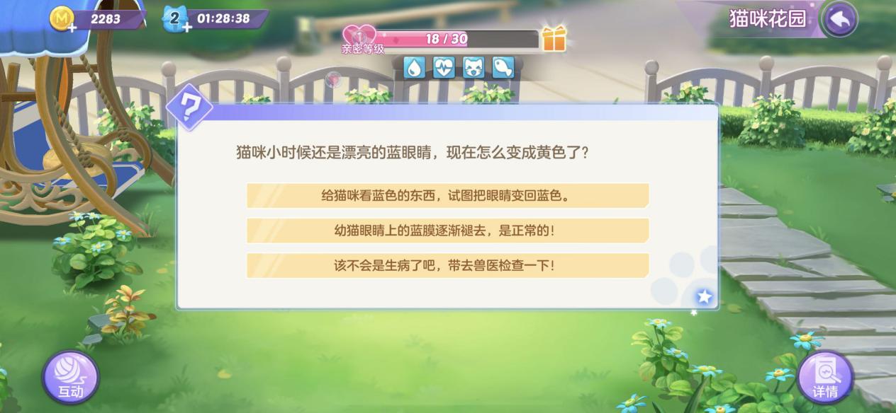 云养猫真的有便利吗,真养猫和云养猫的区别