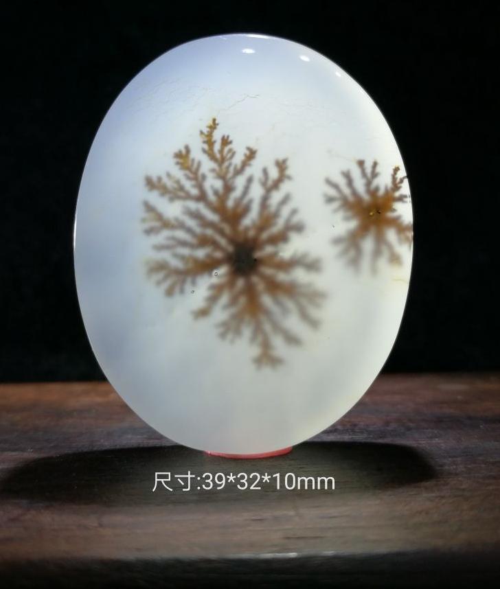 非洲最大岛马达加斯加,非洲马达加斯加岛