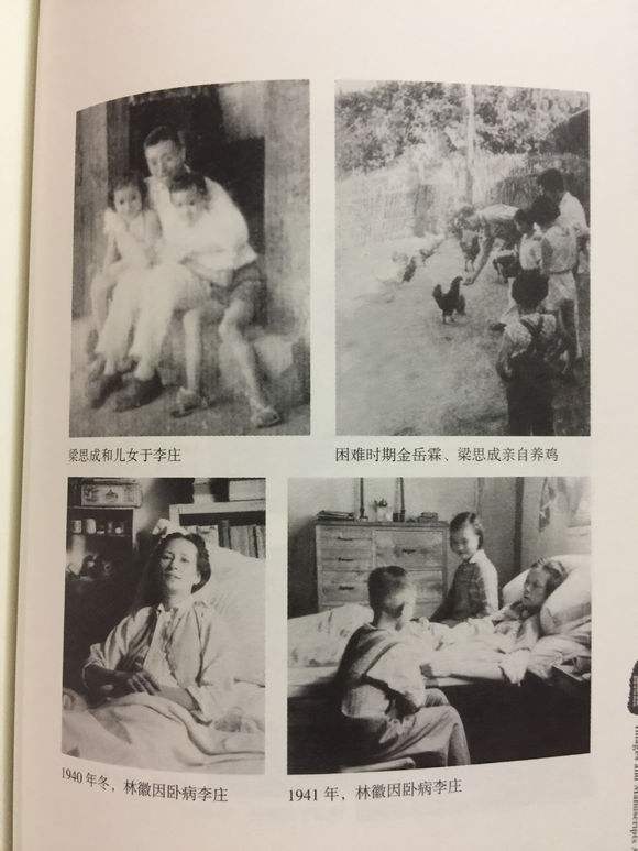 林徽因和梁思成同居过吗,林徽因和梁思成的相处方式