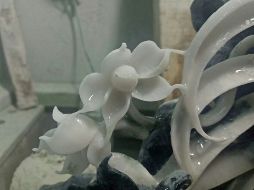 独杆玉兰修剪视频,雕刻玉兰花的工艺流程和操作关键