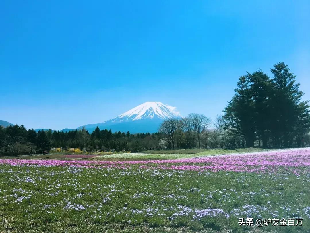 去日本购物有哪些必买的东西,去日本购物必买什么
