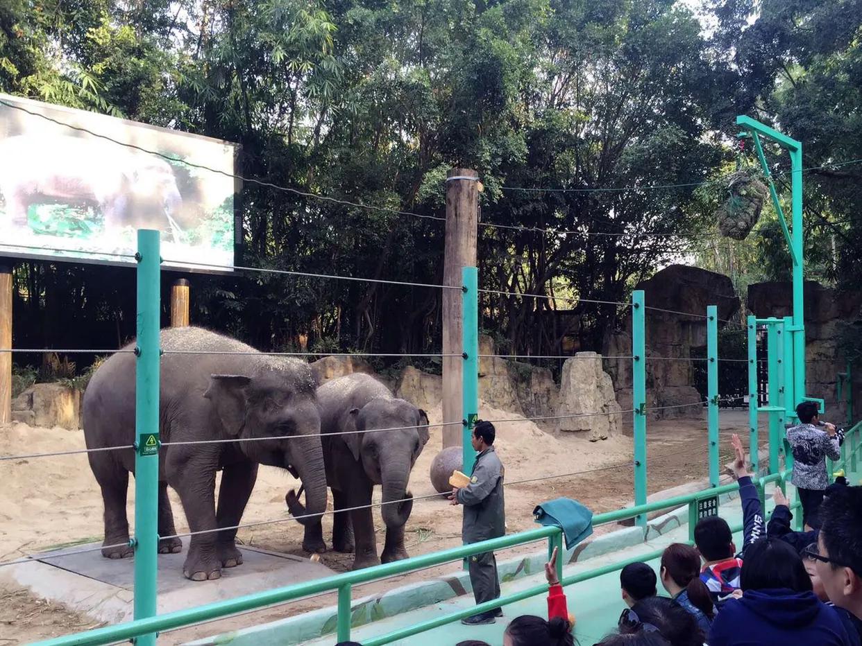 长隆野生动物世界到珠海海洋王国,去长隆野生动物世界需要注意什么
