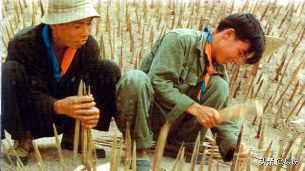 越军遍设竹尖陷阱，外加毒蛇，美军闻风丧胆，不敢收尸