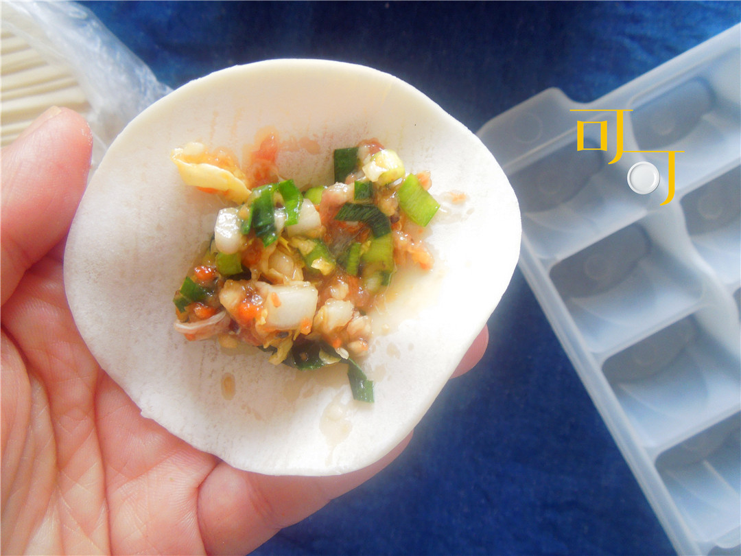 煎饺做法简单底脆馅香,煎饺怎么煎又脆又酥