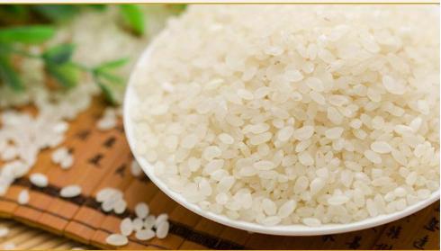 宁夏特产枸杞,宁夏为什么特产枸杞