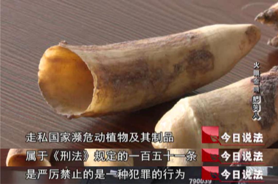 自己做海外代购违法吗,在国外做代购违法吗