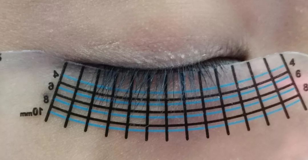 几十块钱美睫毛,几十块钱的睫毛增长液有效果吗