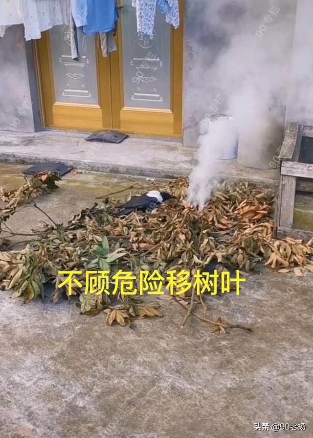 喜鹊救火是真的吗,喜鹊救火全过程