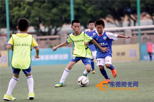 广东体育资讯回忆,广东体育一周资讯回忆