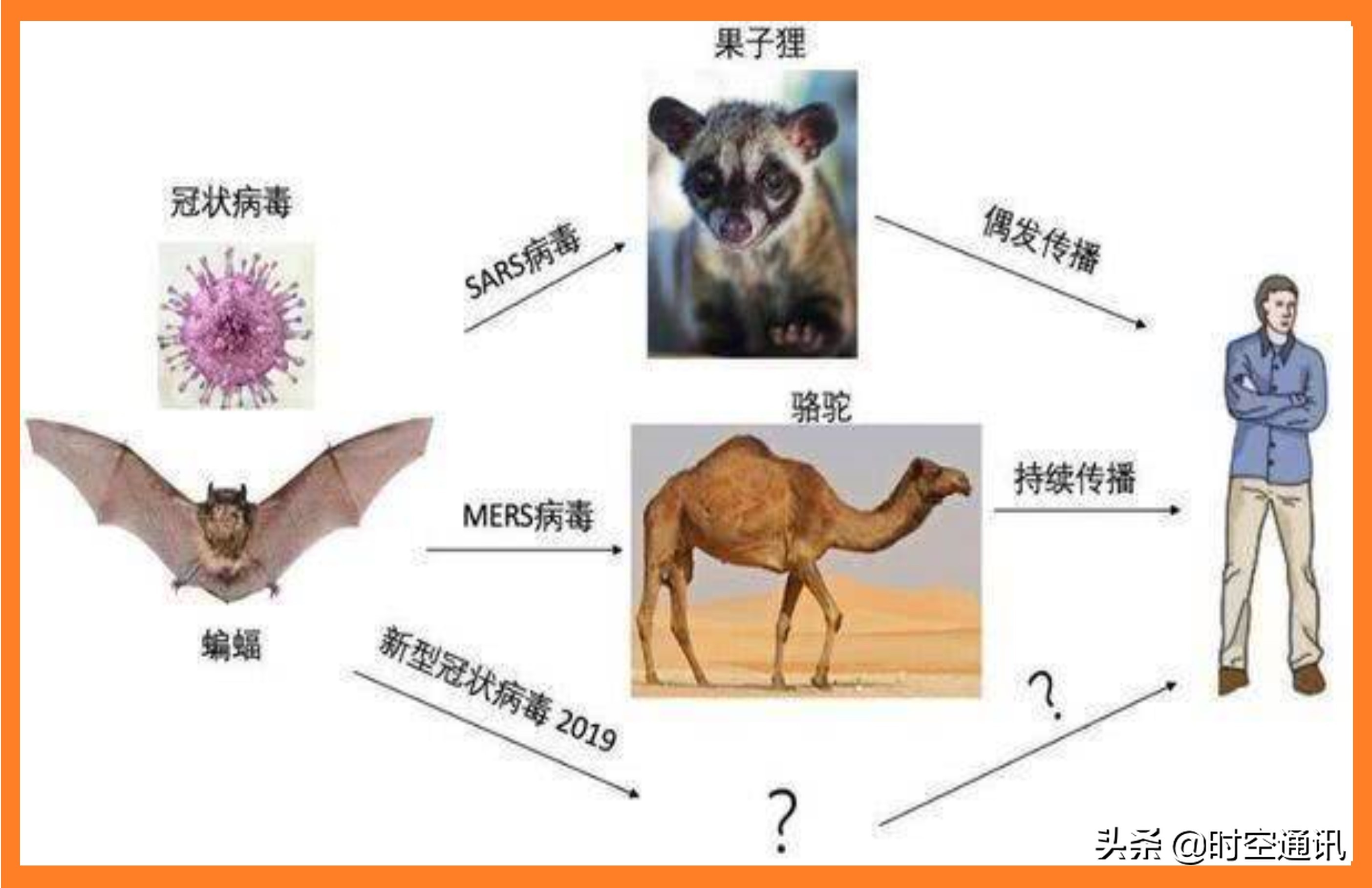 渺小的病毒可能是人类最大敌人，它们从哪里来到哪里去你知道吗？