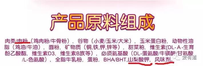 毛孩子偷吃东西被发现,毛孩子吃东西被发现了