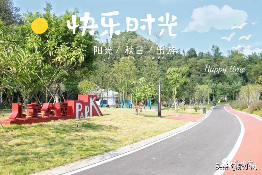 藏在森林里的儿童乐园,韶关市森林公园儿童游玩项目