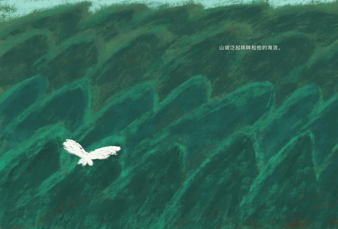 中国原创绘本精品巡展,东方娃娃原创绘本奖公众号