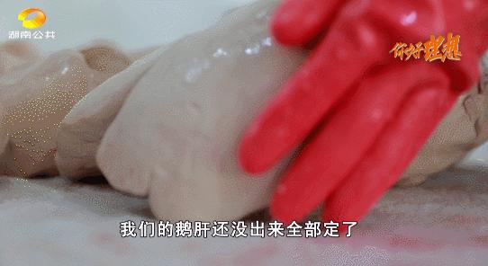 怎样养鹅年收入五万元,怎样养鹅年收入百万