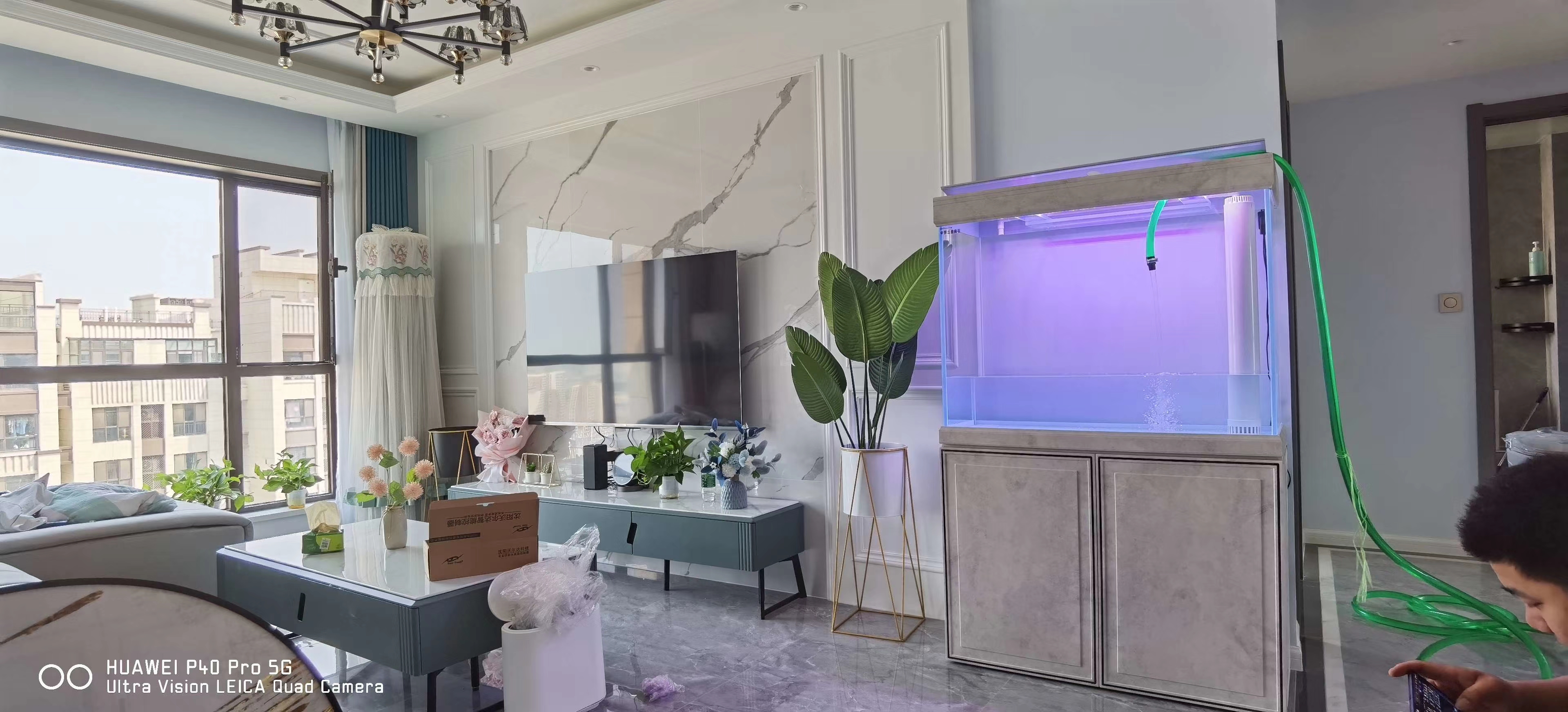 水族店的利润有多少,2023年水族店的发展前景