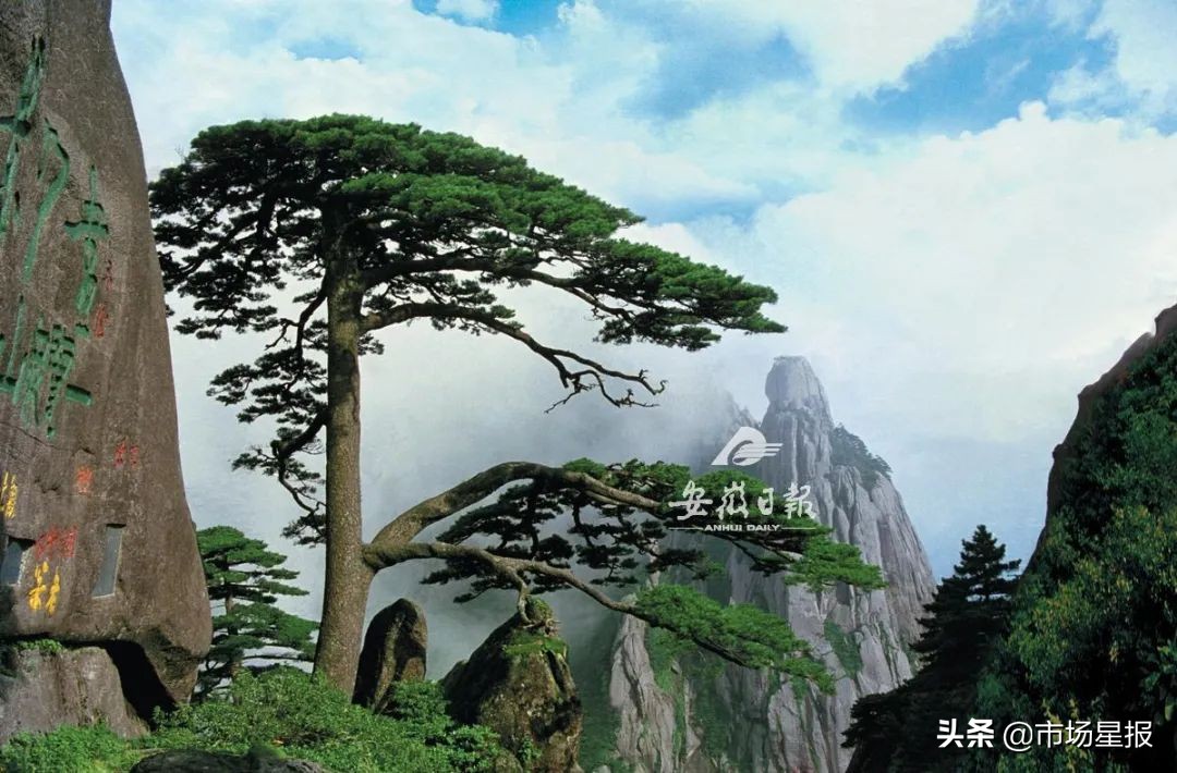 安徽65岁老人景区免票,安徽人免票景区