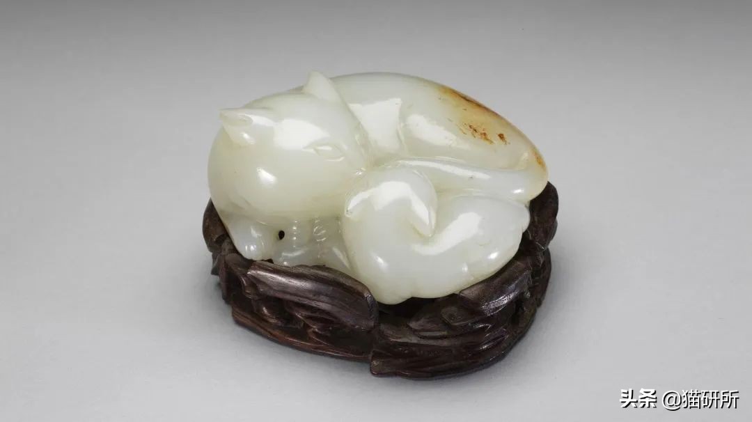 各种花色的猫在古代怎么称呼,猫咪在古代有哪些称呼呢