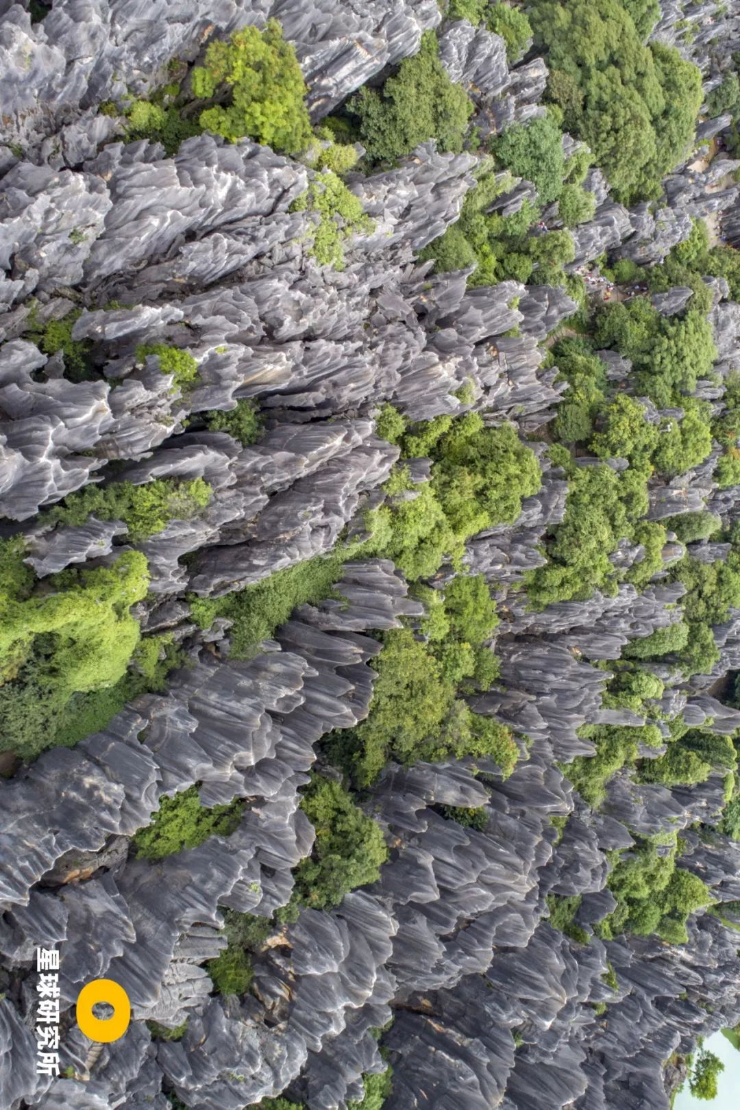 南方喀斯特世界遗产,中国南方喀斯特地貌特点