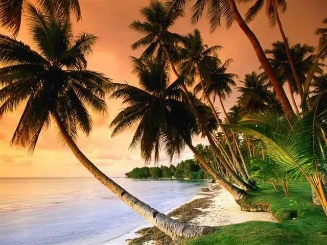 对联应掌握的90个知识点,对联知识点整顿