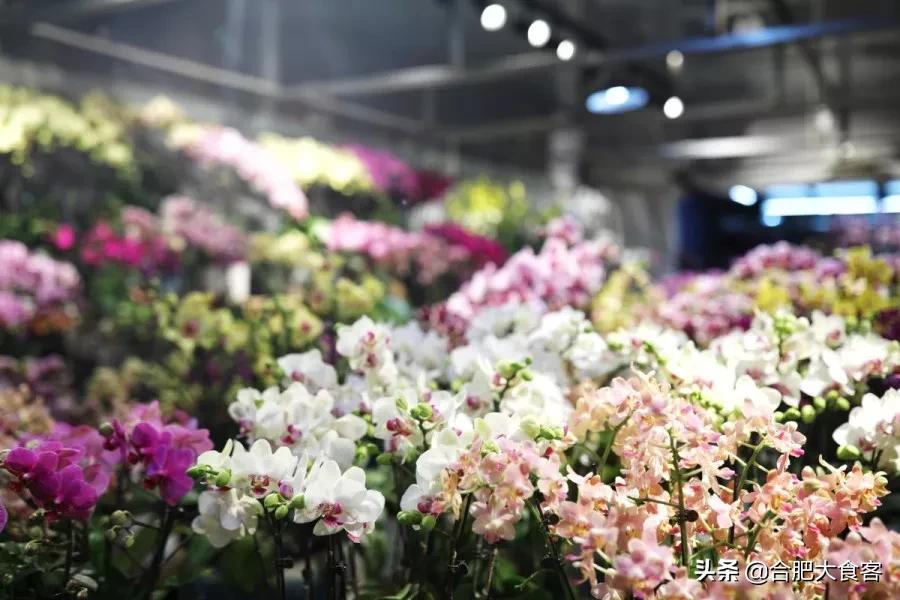 <html>
<head><title>502BadGateway</title></head>
<body>
<center><h1>502BadGateway</h1></center>
<hr><center>nginx</center>
</body>
</html>
<!--apaddingtodisableMSIEandChromefriendlyerrorpage-->
<!--apaddingtodisableMSIEandChromefriendlyerrorpage-->
<!--apaddingtodisableMSIEandChromefriendlyerrorpage-->
<!--apaddingtodisableMSIEandChromefriendlyerrorpage-->
<!--apaddingtodisableMSIEandChromefriendlyerrorpage-->
<!--apaddingtodisableMSIEandChromefriendlyerrorpage-->
