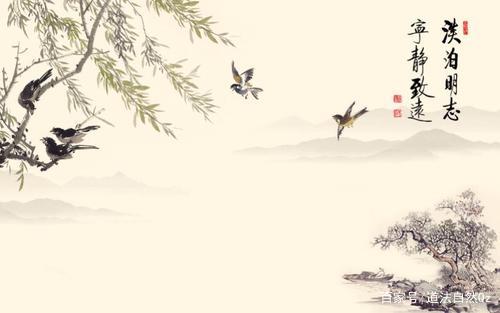 怀远大抱负，持淡泊心智