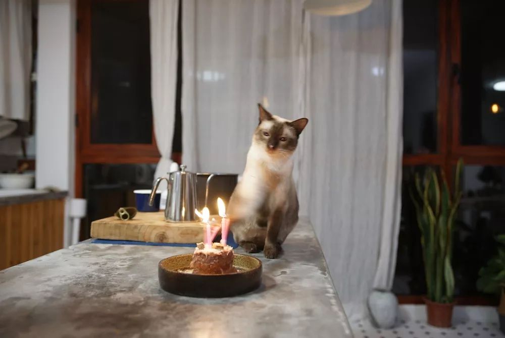 用水泥砌橱柜,用粘土做迷你橱柜