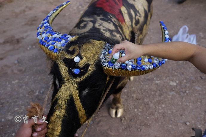 水牛身上画画,水牛身上画了牛郎织女画面