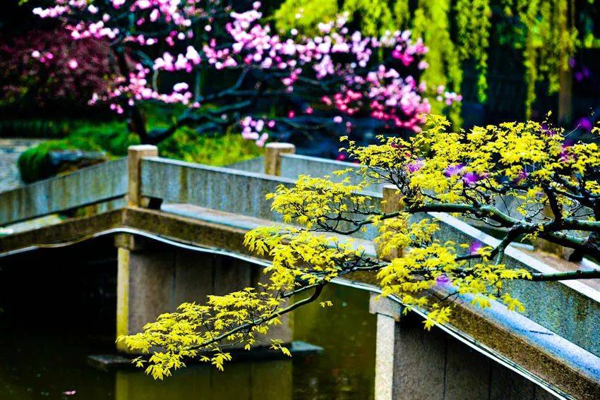 太仓亲子度假酒店,江苏太仓度假