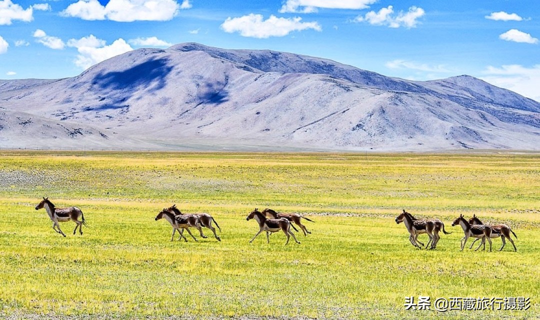 西藏最美的风景阿里环线,川藏线最美的十大打卡景点