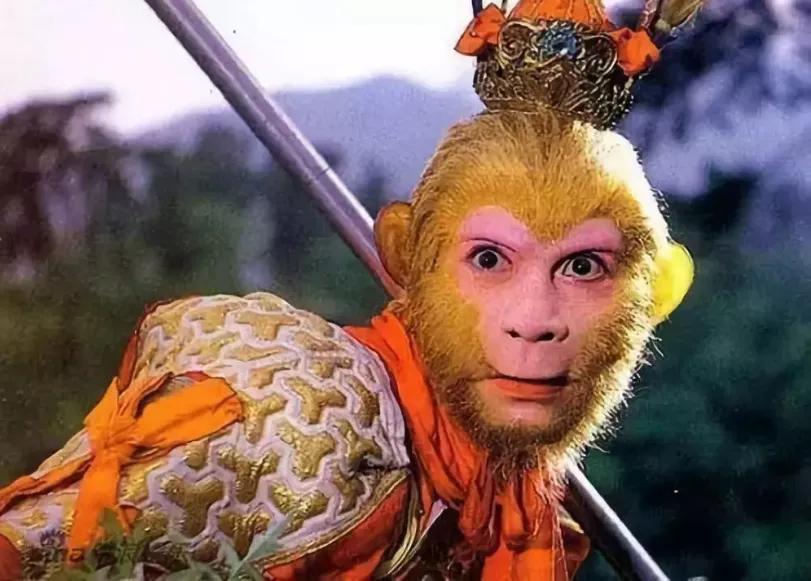 六小龄童上节目全部视频,六小龄童空降综艺视频