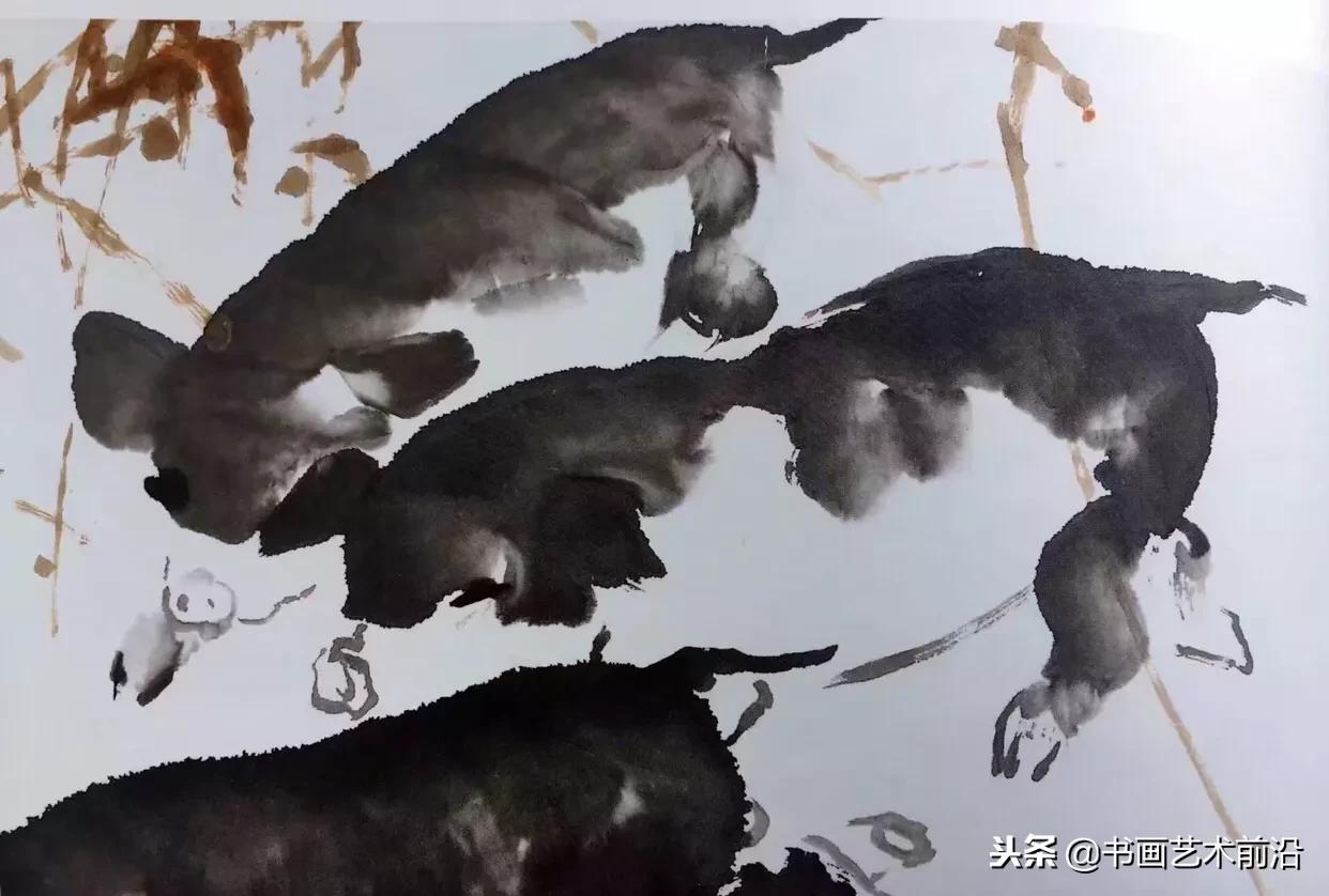 属猪的人2019年运势,属猪人2019的运程如何