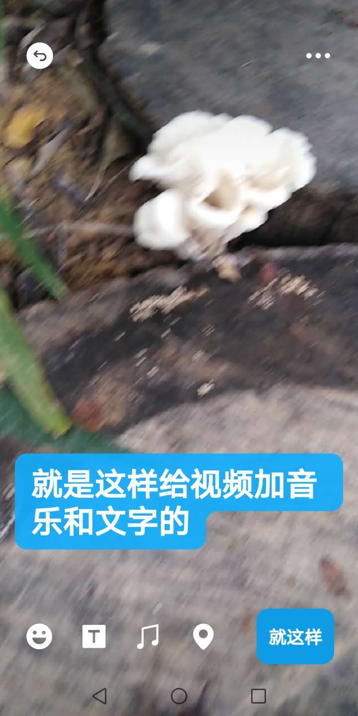 教你如何在朋友圈给自己拍的视频加音乐和文字