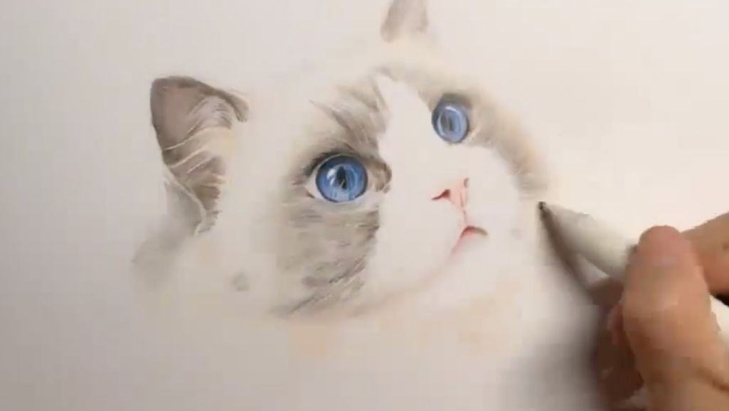 免费全套教程视频,初学理发男基础教学视频