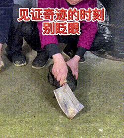 捡到了u盘里面会有什么,捡到一个u盘还好没有用