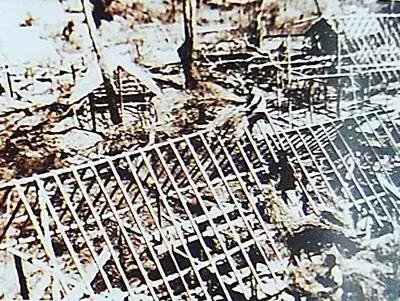 普洱茶中期老茶,中期老茶普洱茶