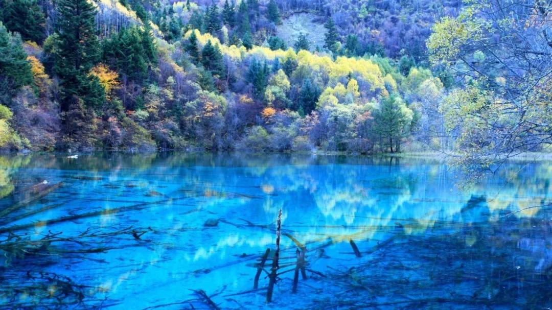 这里是四川英文,这里是成都