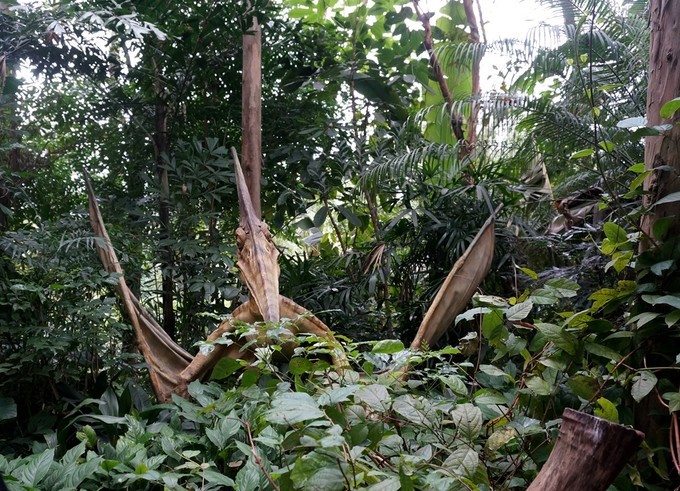 广州长隆动物园春节游玩攻略,广州长隆动物园儿童游玩区域