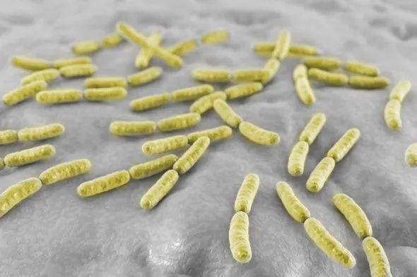 美国教授发表100万个阴道微生物基因集并开出公司，挖到宝了？