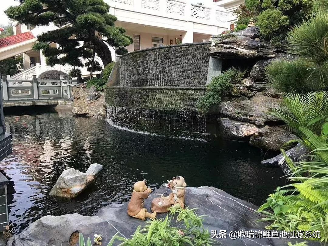 一个强大的过滤系统,一个过滤系统带多个鱼缸