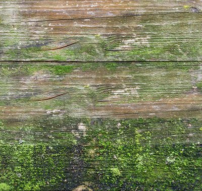 为什么霉菌感染的疾病总是不会好？医生告诉您