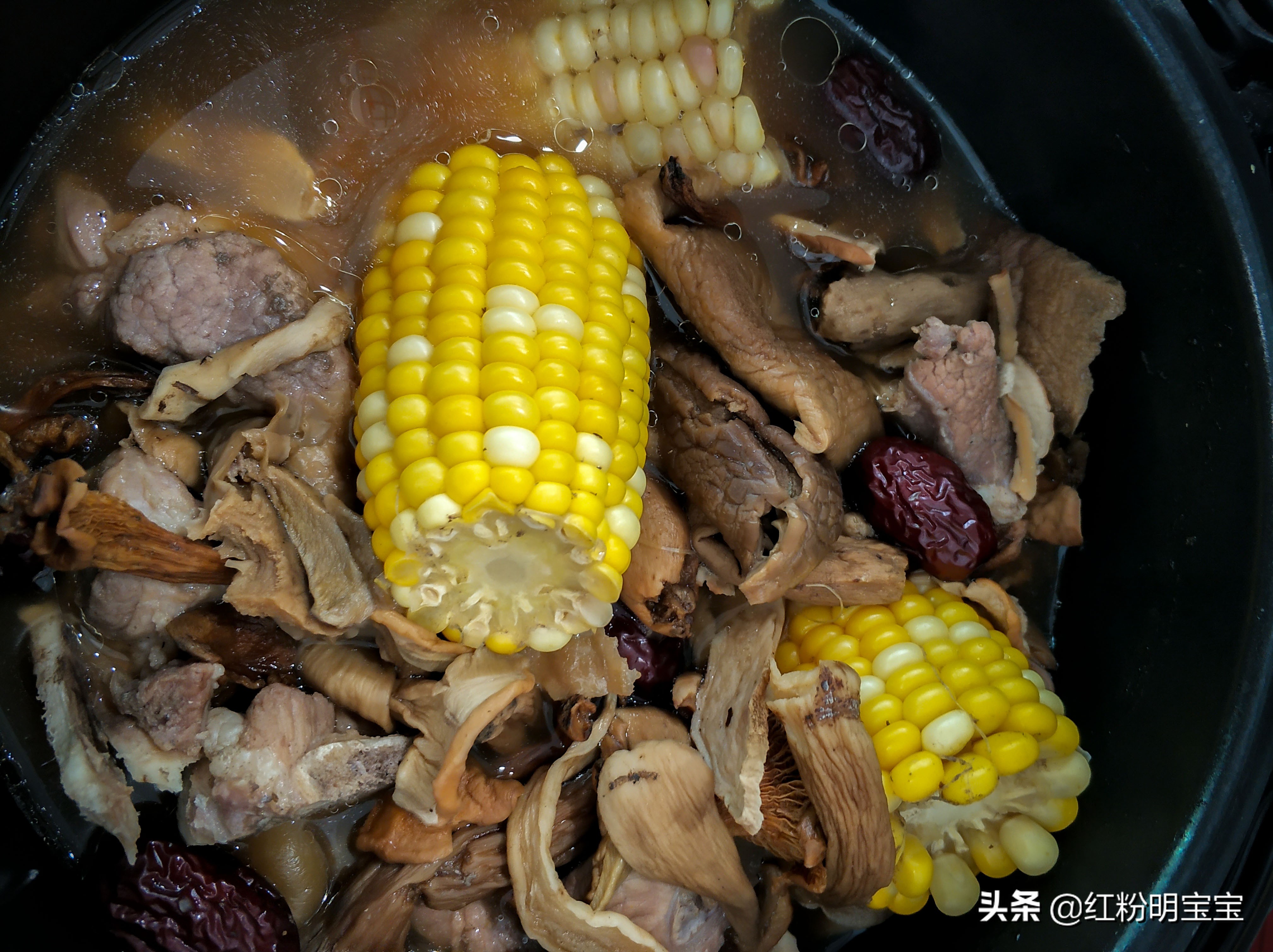 野生蘑菇，大山里的美味牛肝菌｜红菇，有钱也很难买得到