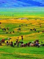 四川成都特产送人一览表,各地特产礼品一览表