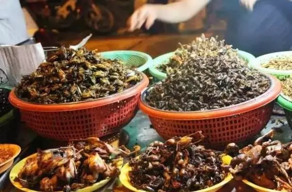 邓紫棋柬埔寨美食,邓紫棋吃美食