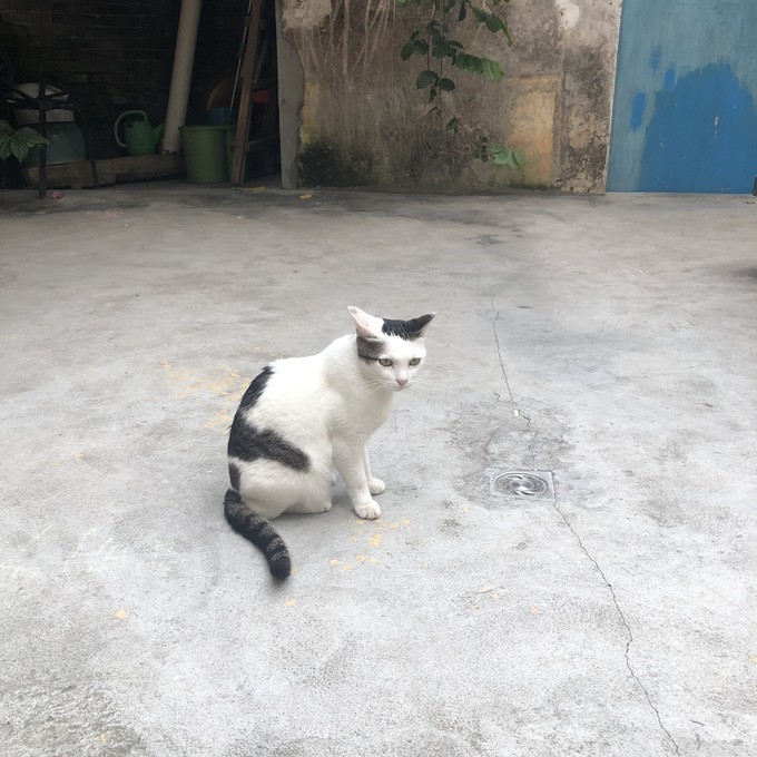 每天3w步的珠海澳门小清明