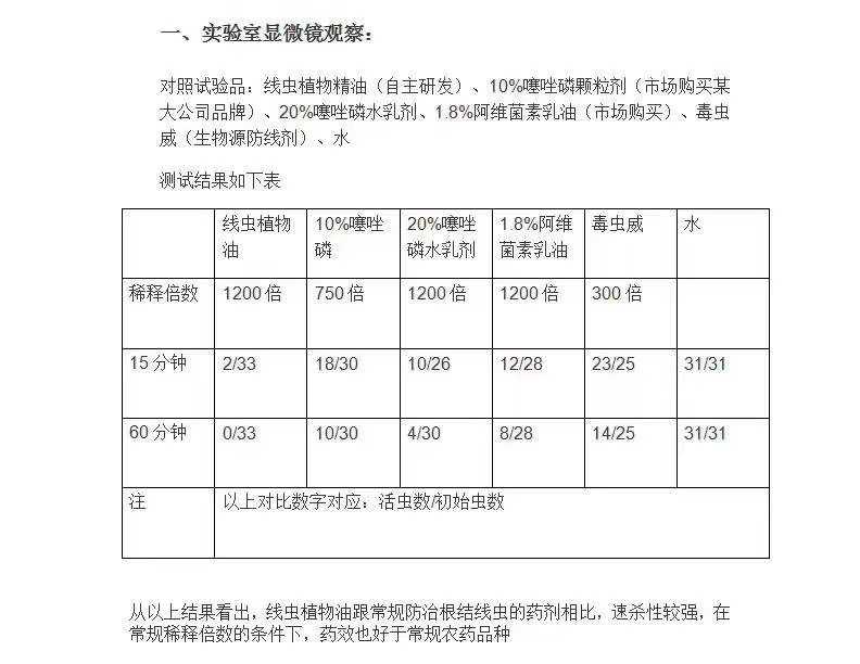 大姜种植过程容易产生的病害,大姜种植前如何预防病毒
